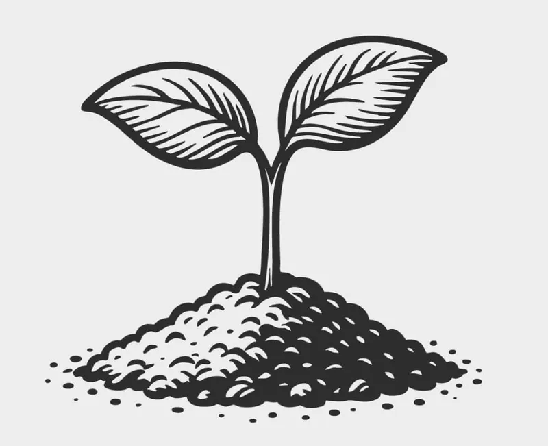 Founder building a product on laptop